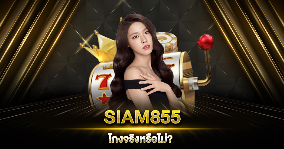 SIAM855